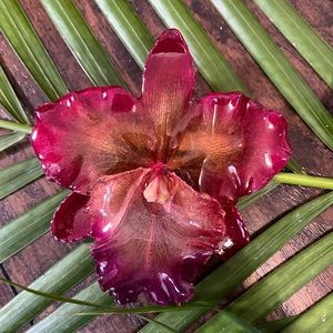 Real orchid hair clip/necklace❣️